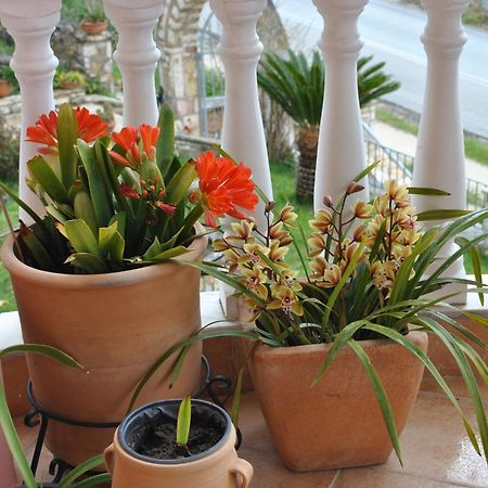 شقة Amaryllis House بارغا المظهر الخارجي الصورة