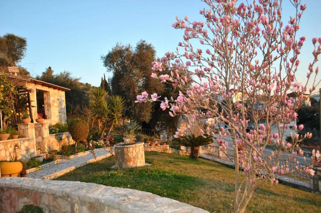 شقة Amaryllis House بارغا المظهر الخارجي الصورة