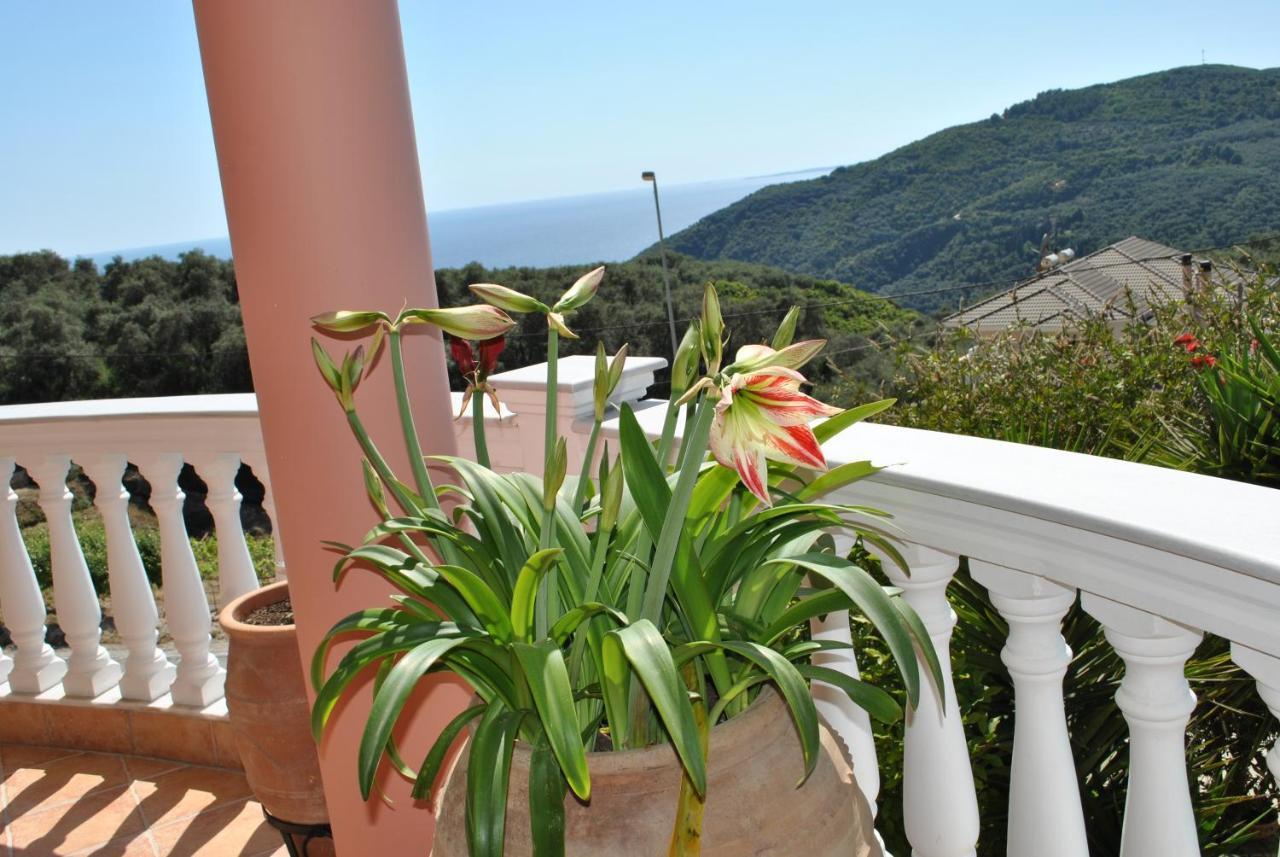 شقة Amaryllis House بارغا المظهر الخارجي الصورة