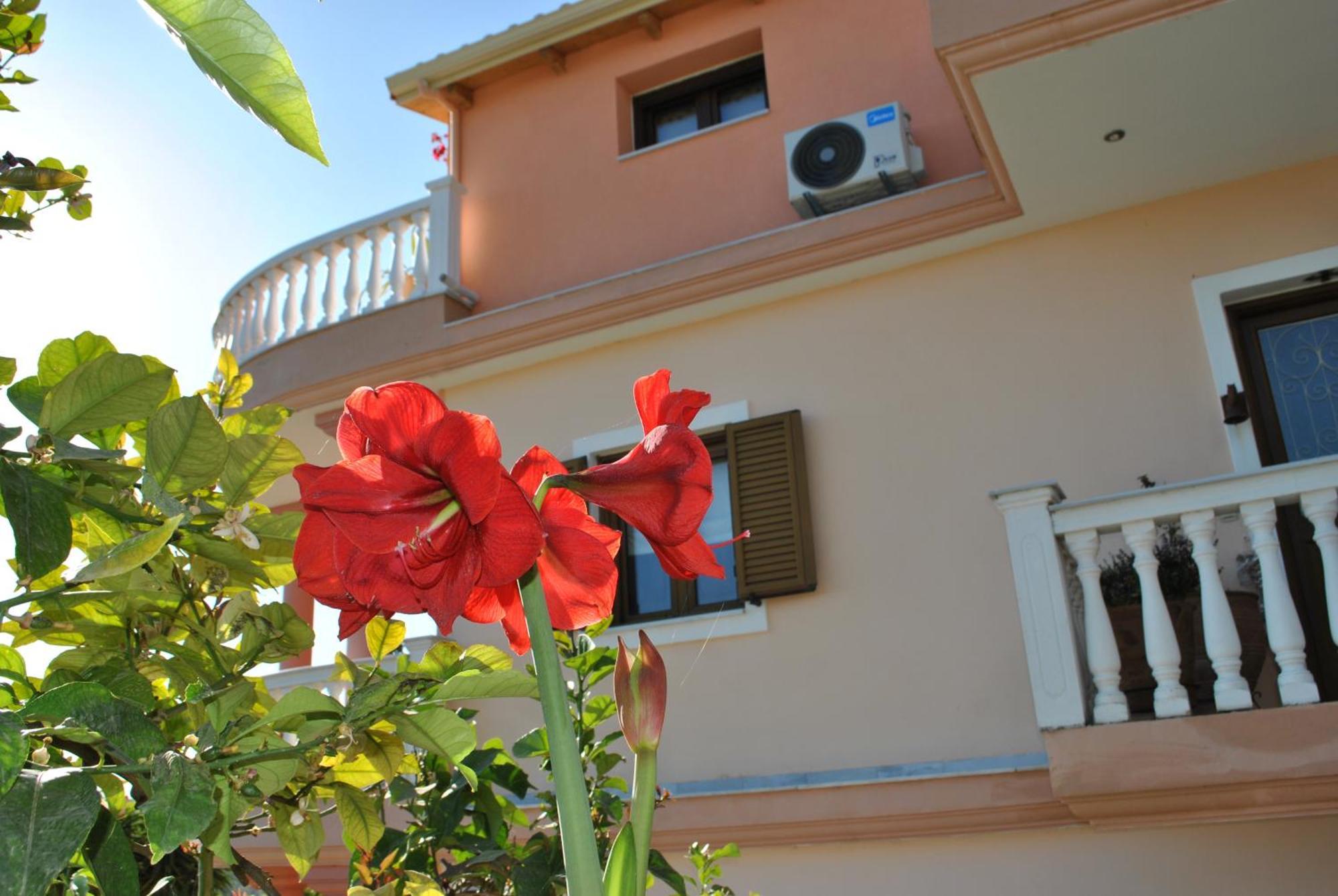 شقة Amaryllis House بارغا المظهر الخارجي الصورة