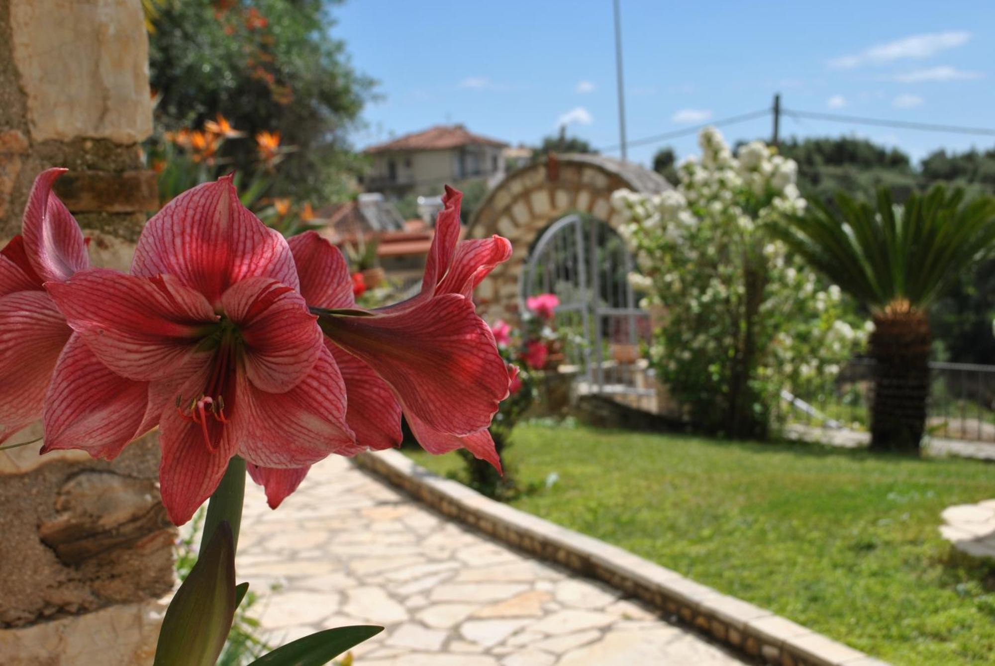 شقة Amaryllis House بارغا المظهر الخارجي الصورة